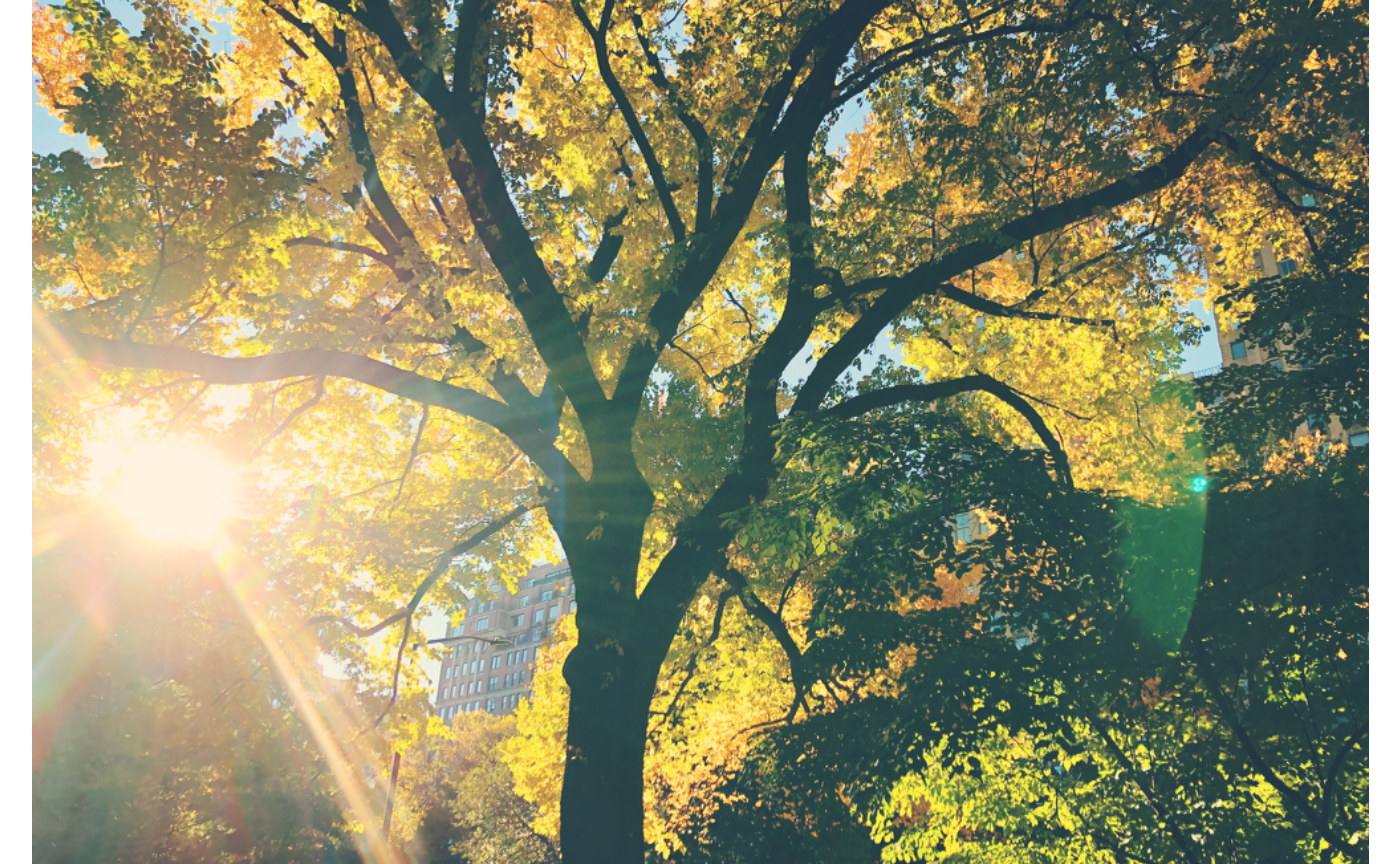 LSD.Campと5年間のLongSlowDistance ④【完結編】