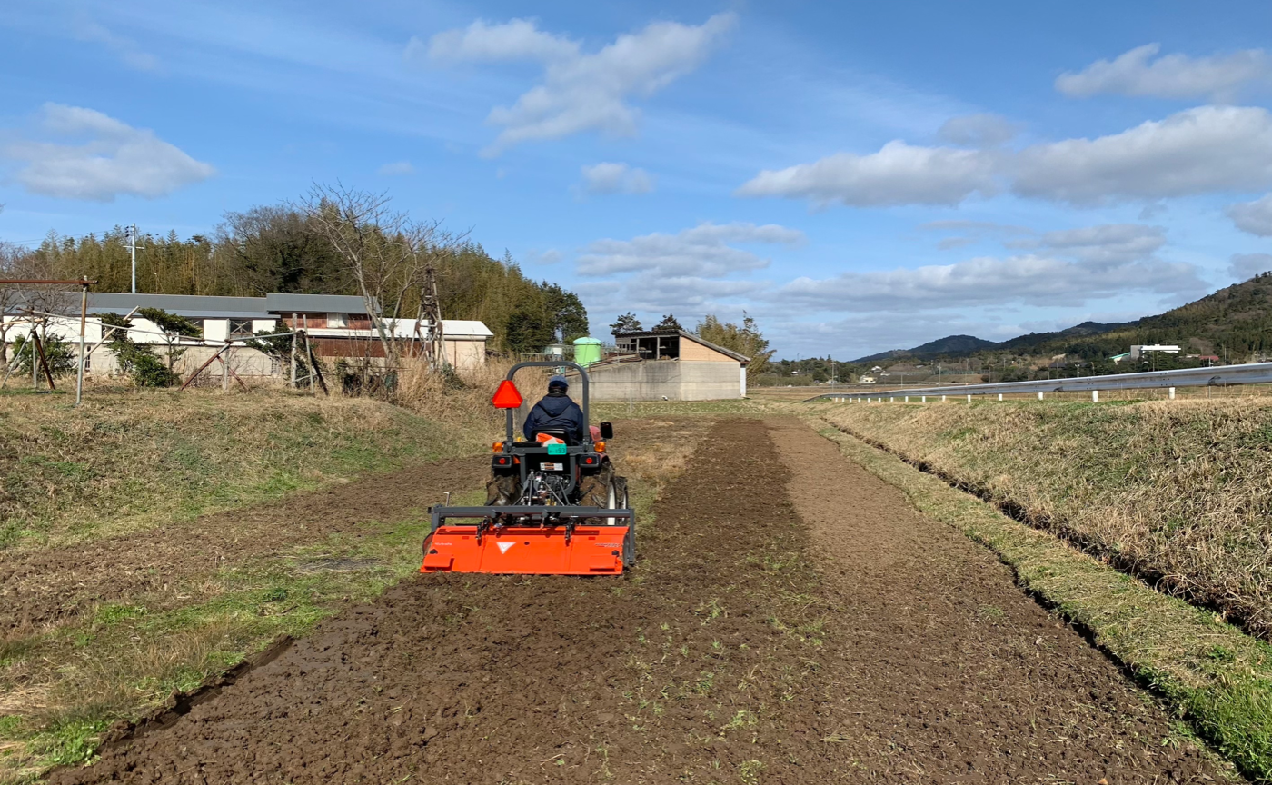 オンライン集落田んぼ 2021