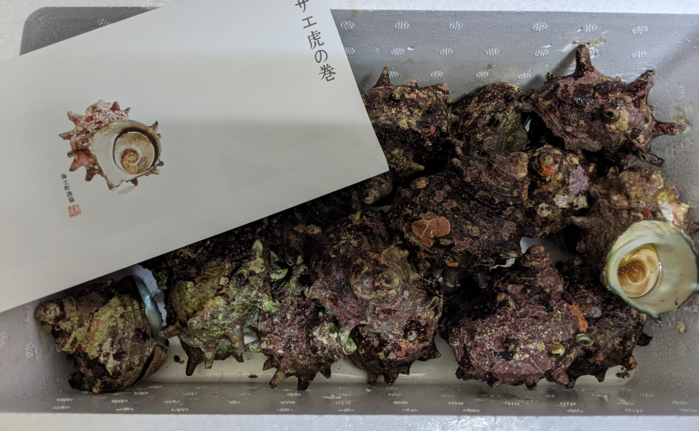 海士町ふるさと納税の返礼品が届きました！