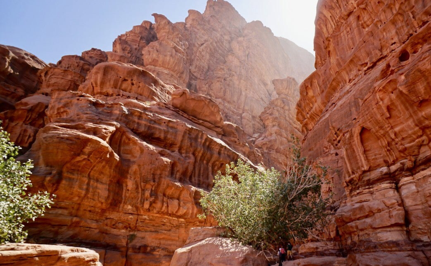 「好き」のいびつで強力なエネルギー〜まゆさんのお話を聴いて〜