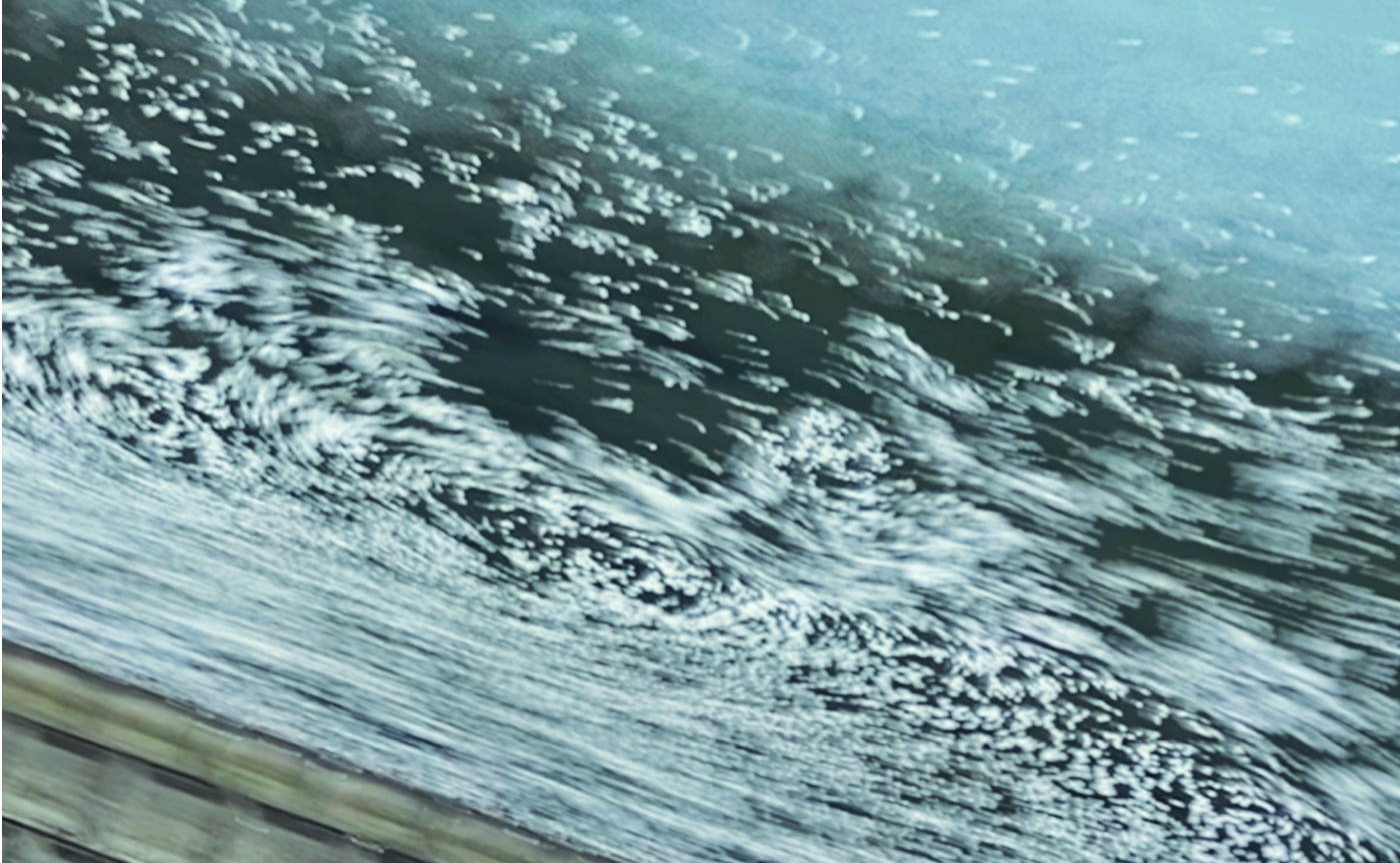 今年の桜は少し短命のようです