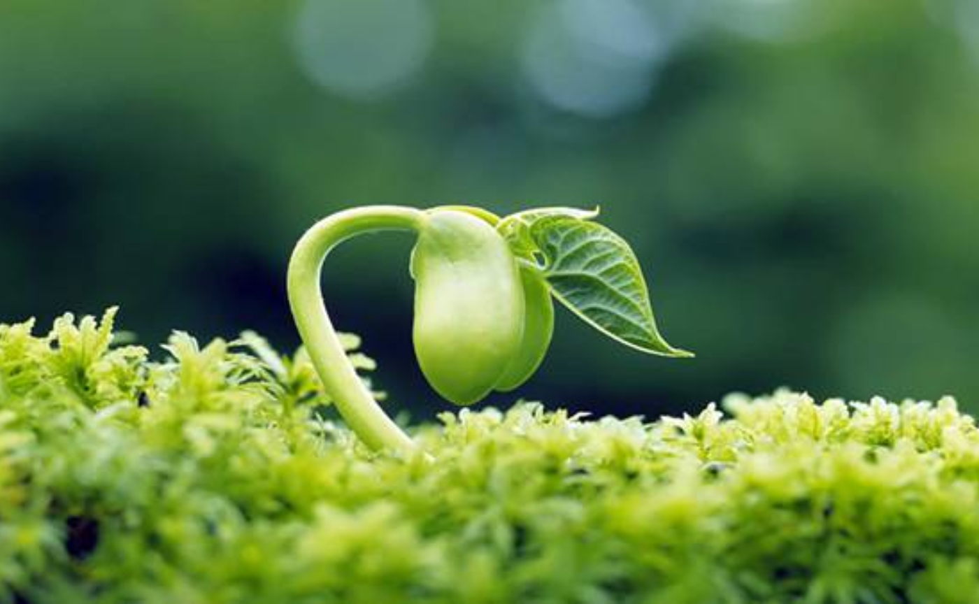 猫町ラウンジに入って3か月、激変した生活を振り返ってみた