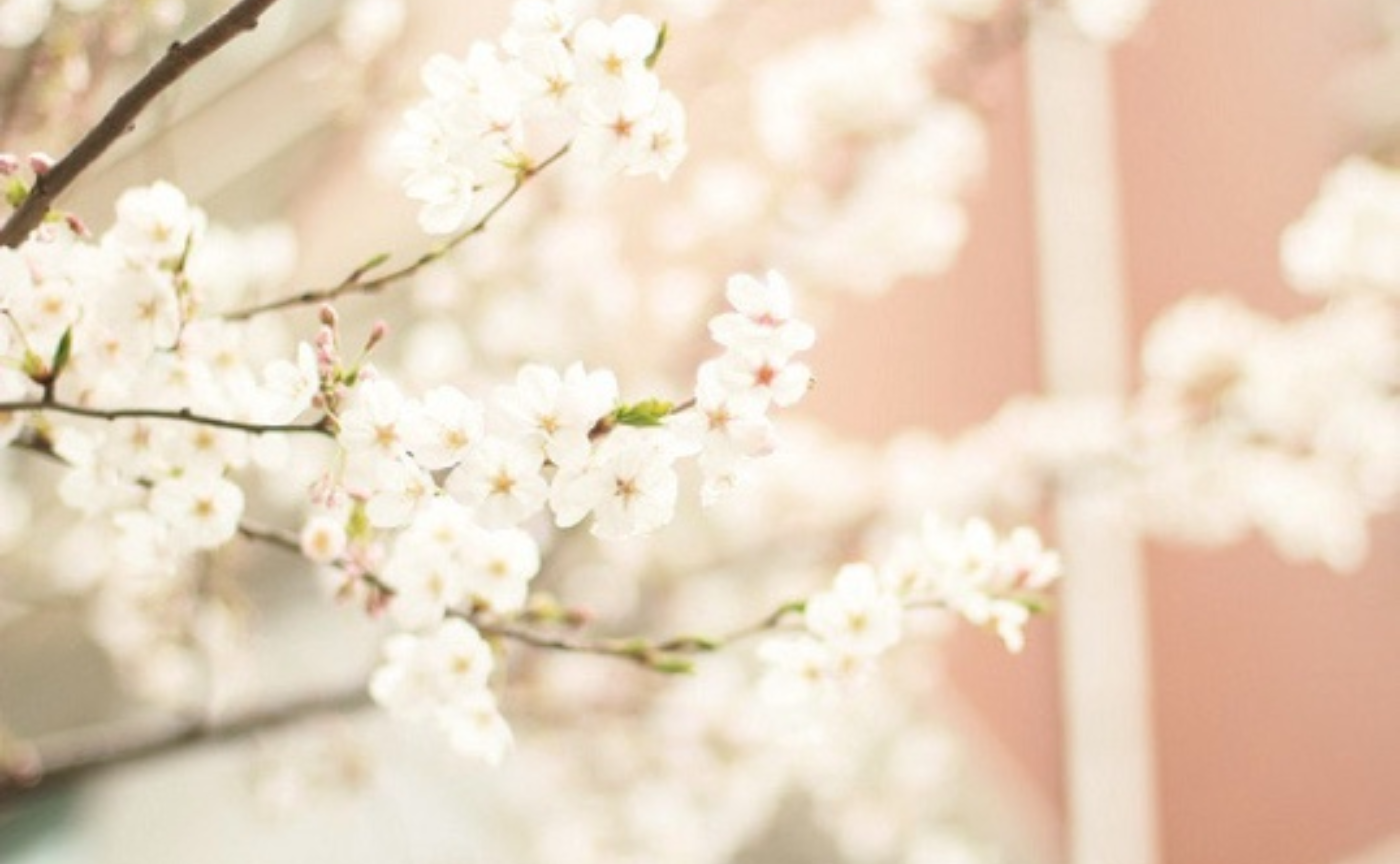 春を健やかに過ごすための養生法