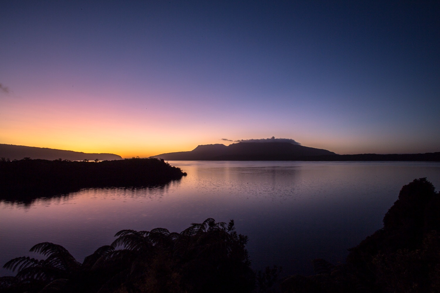 「森の生活から見る世界」オルタナティブに生きるとは。