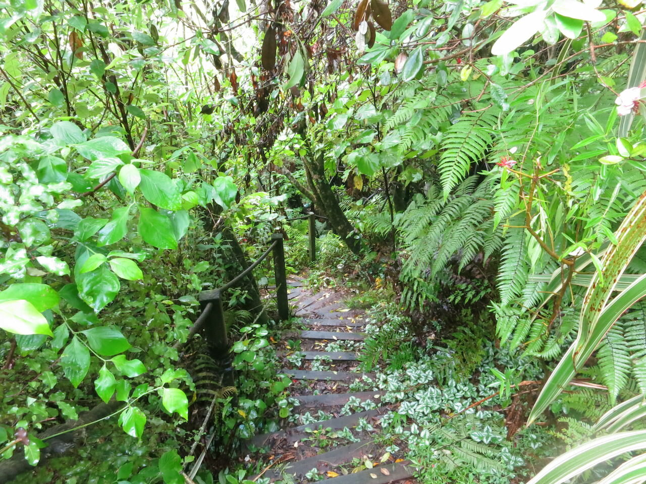 森の生活で〝あの感覚〟を取り戻す。 ~ 朝日新聞|持続可能な未来創造 #13 ~