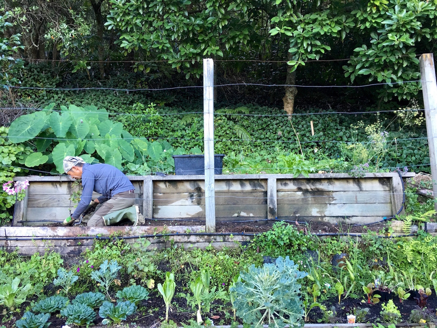 「めぐりのライフスタイル」大地へ、体へ、そしてまた地球へ~ 朝日新聞｜持続可能な未来創造 ＃11 ~
