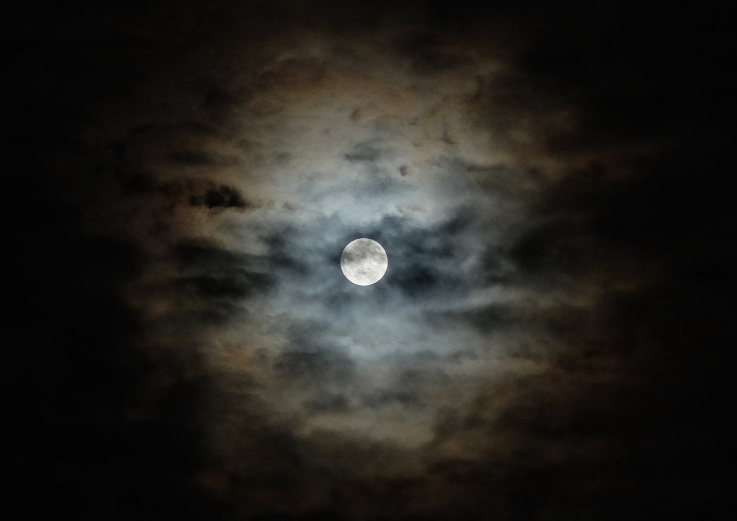 生命体として美しく生きるために。 ~ ライフもビューティも、もっと地球のリズムで。#02 ~