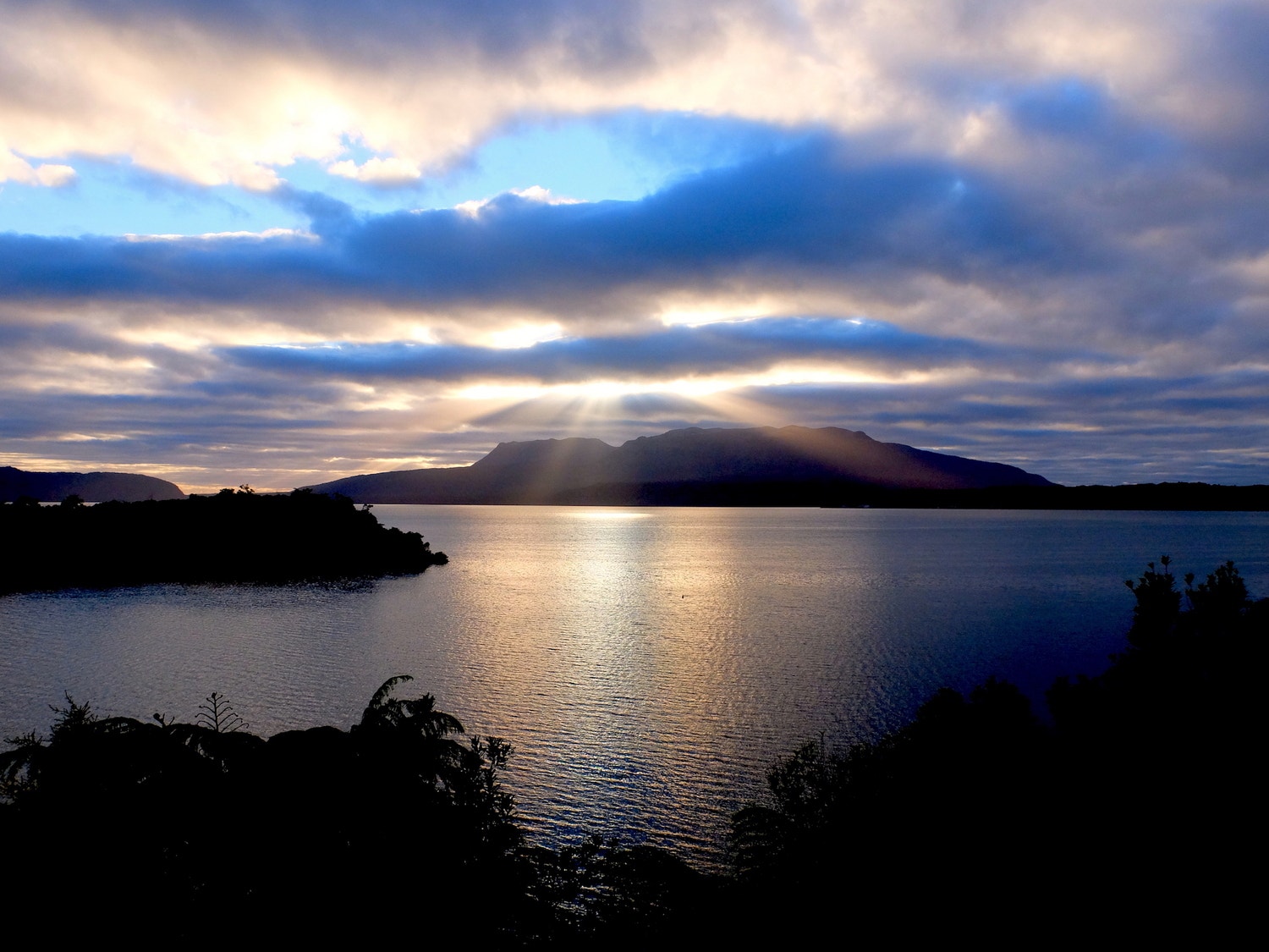 言葉にできない、衝動を中心に生きる。 ~ ライフもビューティも、もっと地球のリズムで。#01 ~