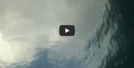 "Underwater Scene" from my Mother Lake | New Zealand.