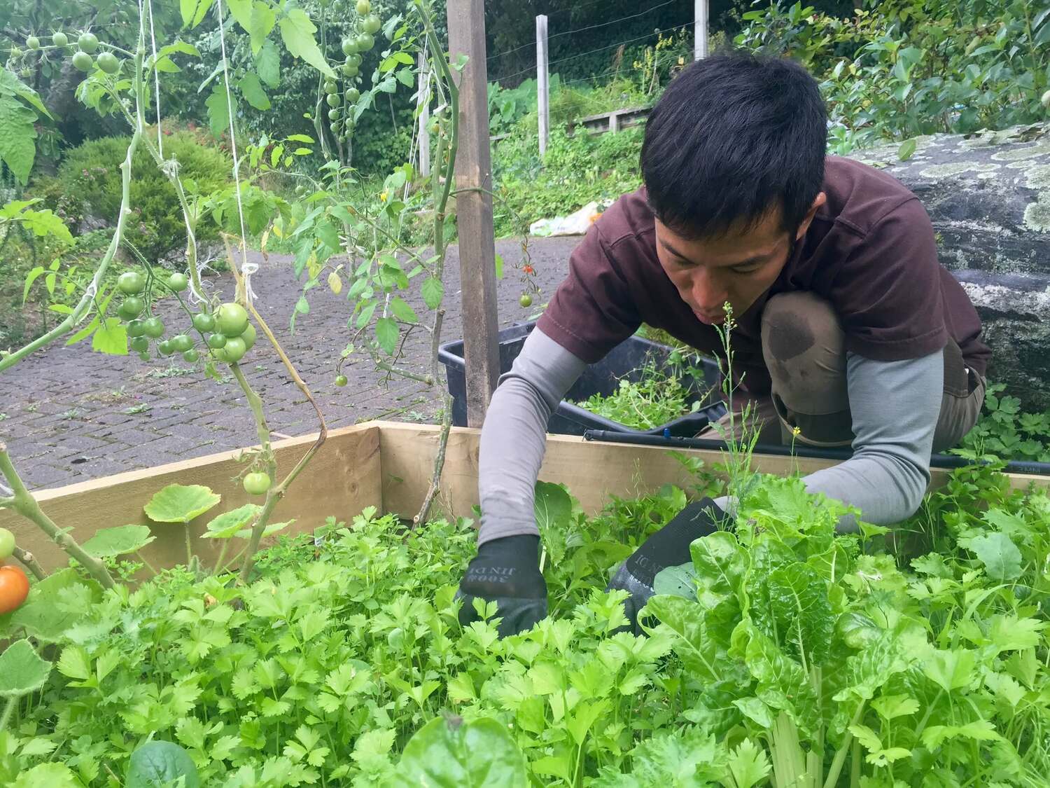お金から自由になるということ・中編 〜未来の国からパラダイムシフトの朝 #19〜