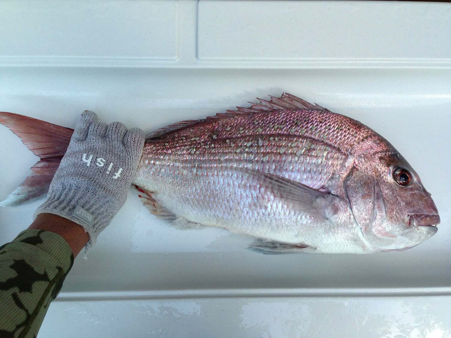 お金から自由になるということ・前編      〜未来の国からパラダイムシフトの朝 18〜