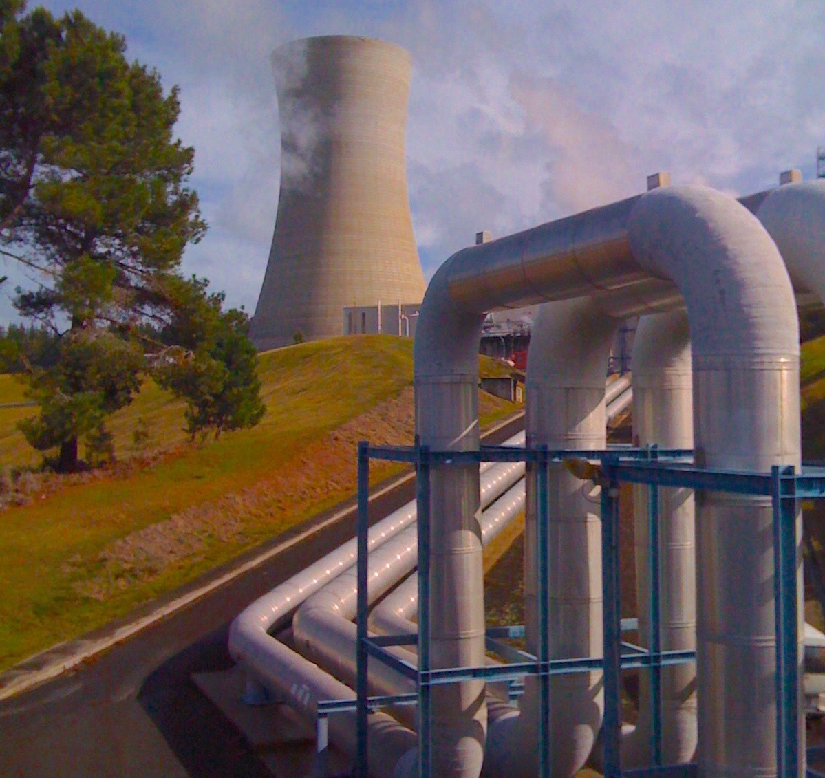 グリーンエネルギーと早寝早起き ~ 未来の国NZからパラダイムシフトの朝 #03 ~