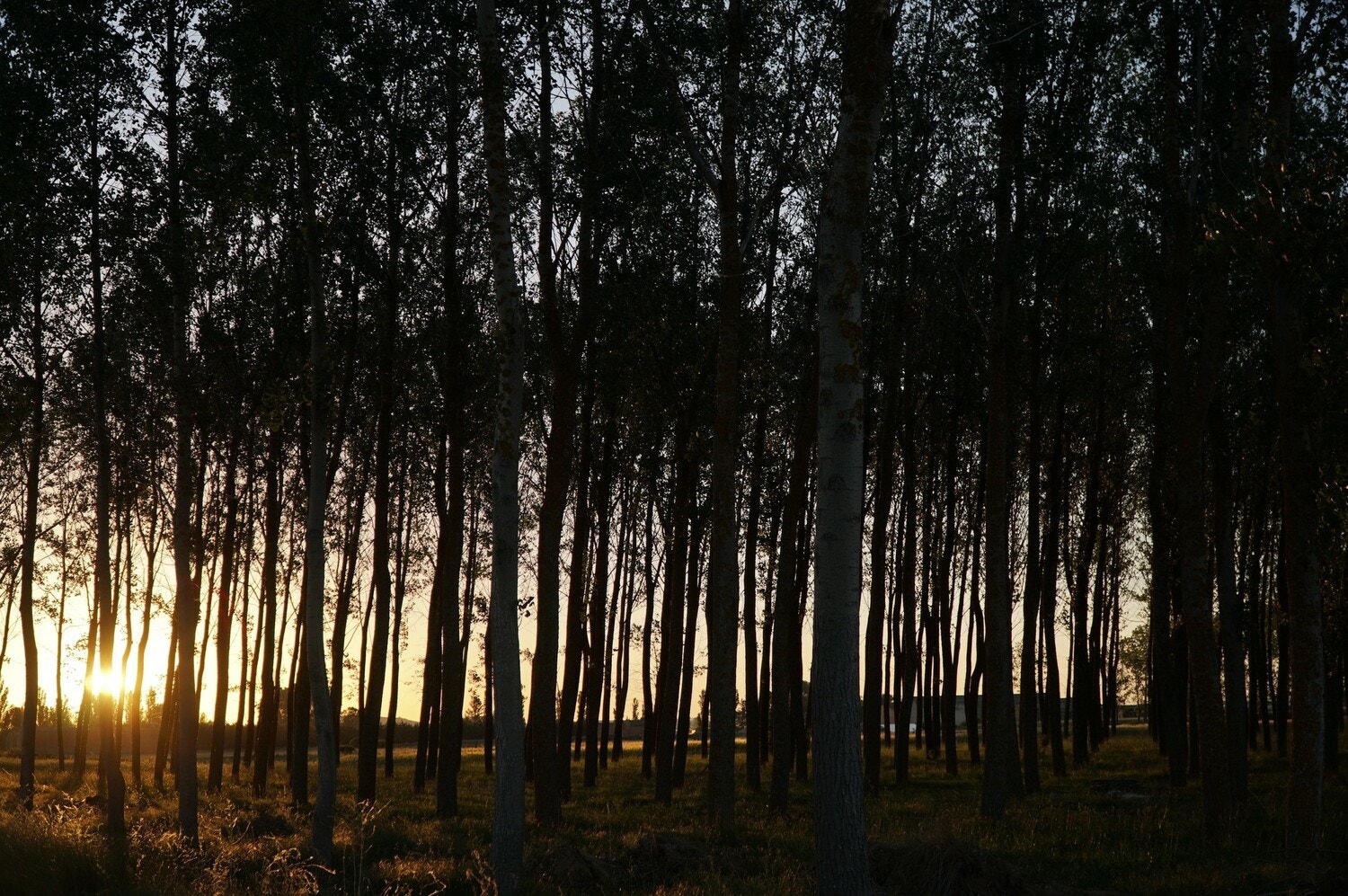 holos.QUANTAで大切にしたい8つのこと