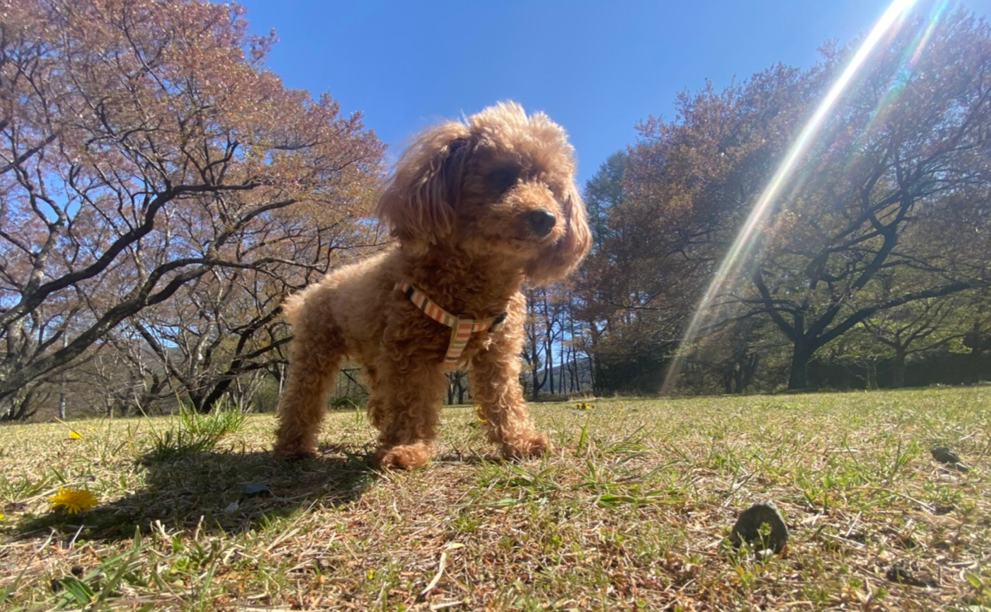 「自分の人生」をしっかり生きる。