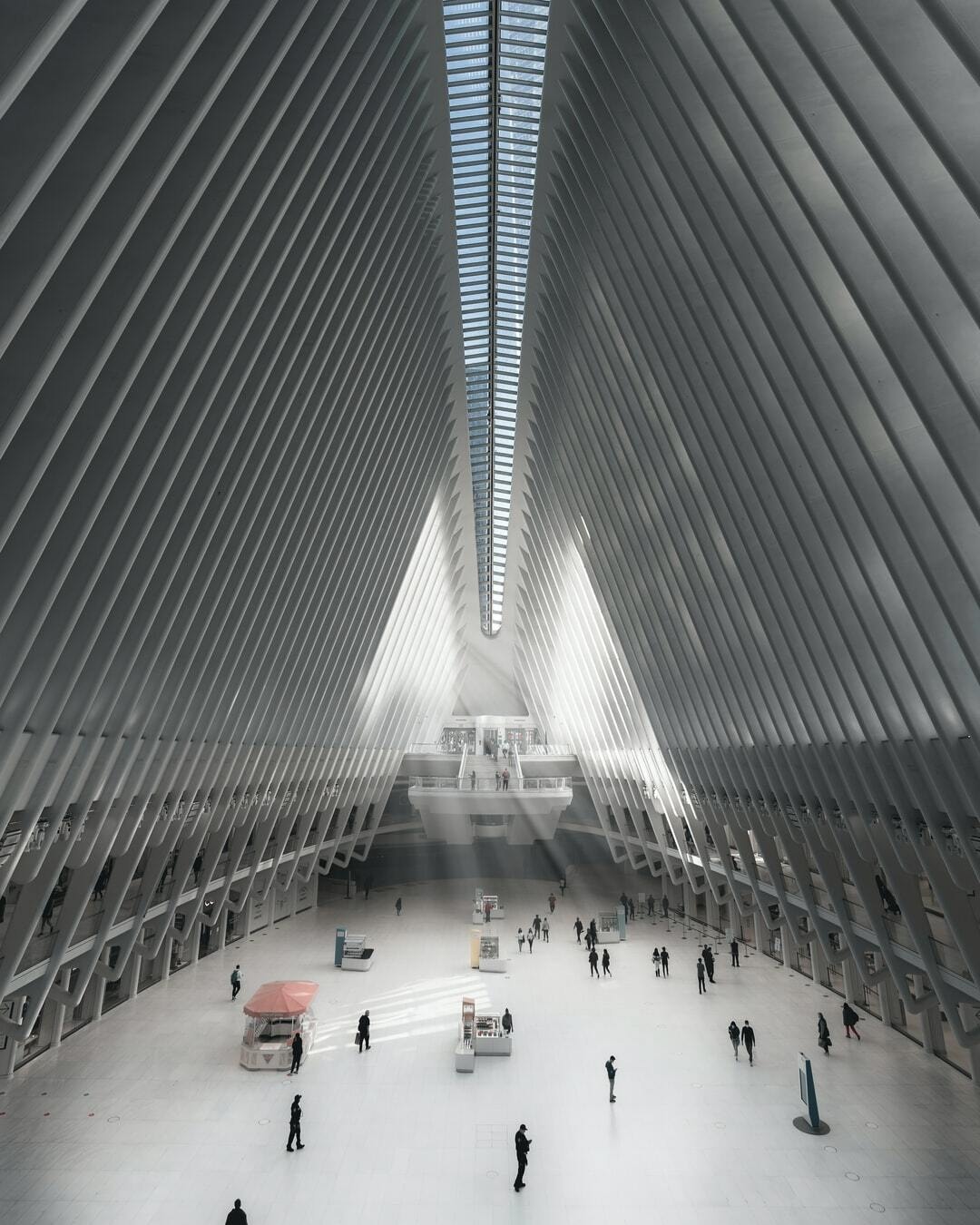 生きることと、死ぬることは、ある意味等価なのです