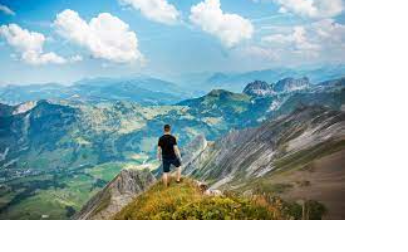 2,500冊の頂から ー1000日要約完読体験記ー