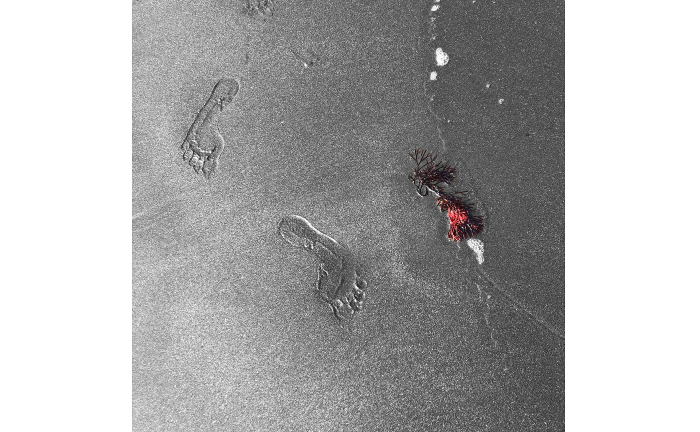 052   歩のマーチ