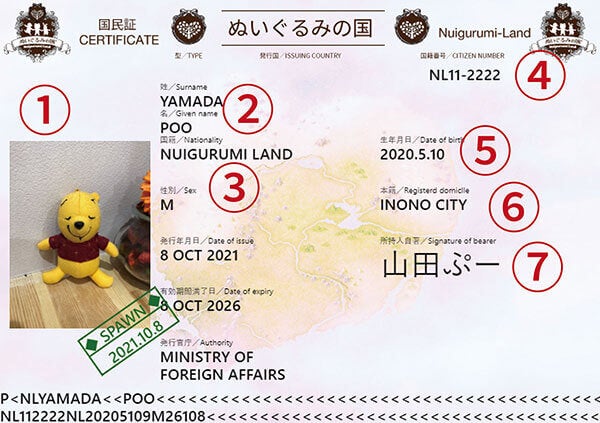 国民証見本